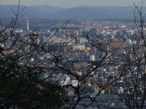 衣笠山から見た京都タワー　DSCF4157.JPG